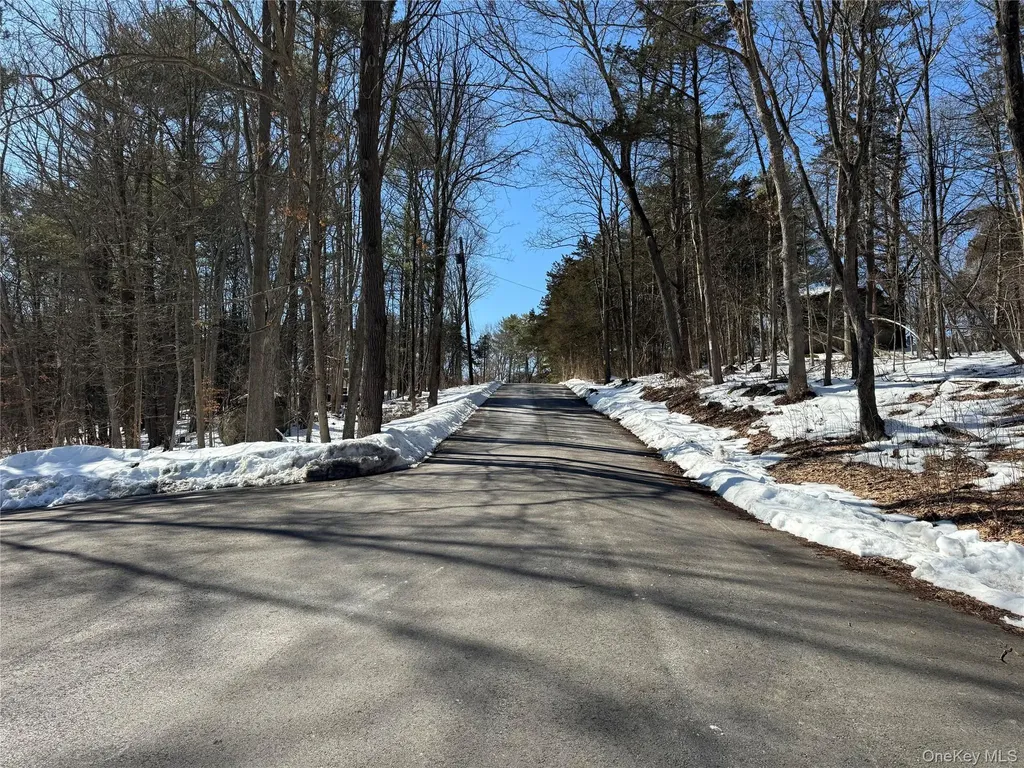 24 Palmer Road Catskill NY 12414