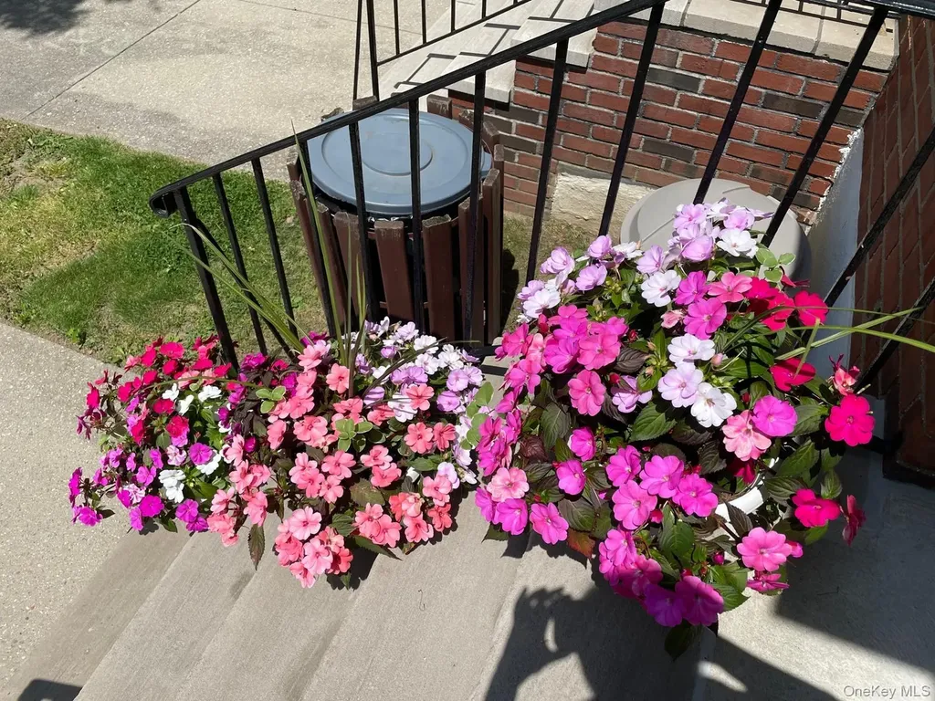 68-37 138th Street Flushing NY 11367