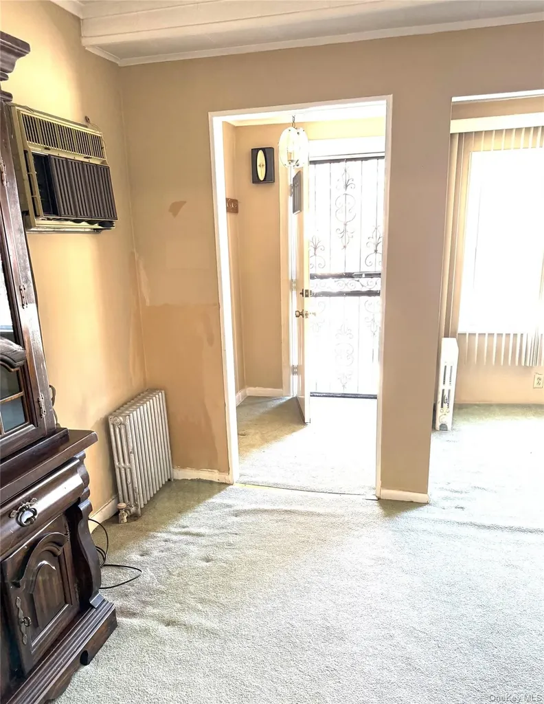 154-28 65th Avenue Flushing NY 11367