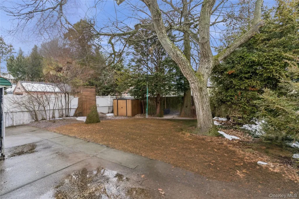 9 Clinton Street Elmont NY 11003