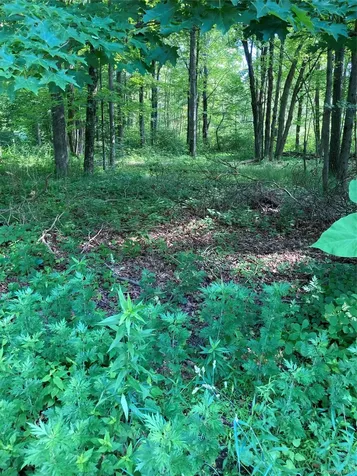 15 Adam Wagner Lane Mahopac NY 10541