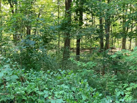 15 Adam Wagner Lane Mahopac NY 10541