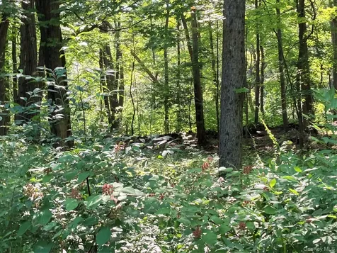 15 Adam Wagner Lane Mahopac NY 10541