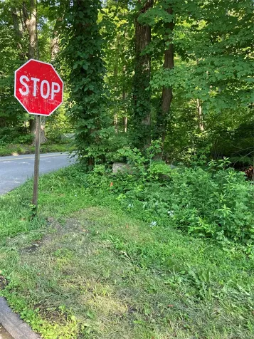 15 Adam Wagner Lane Mahopac NY 10541