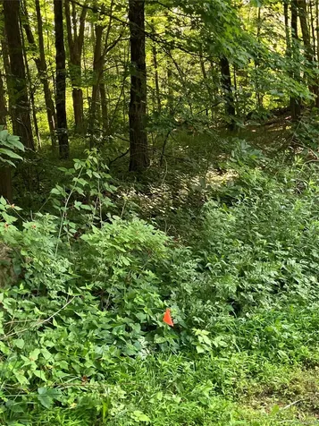15 Adam Wagner Lane Mahopac NY 10541