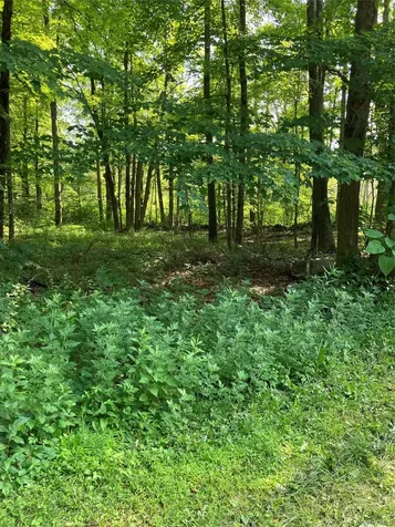 15 Adam Wagner Lane Mahopac NY 10541