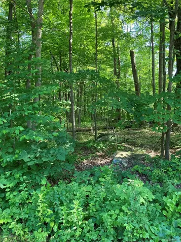 15 Adam Wagner Lane Mahopac NY 10541