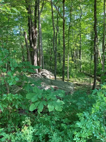 15 Adam Wagner Lane Mahopac NY 10541