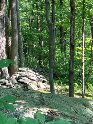 15 Adam Wagner Lane Mahopac NY 10541
