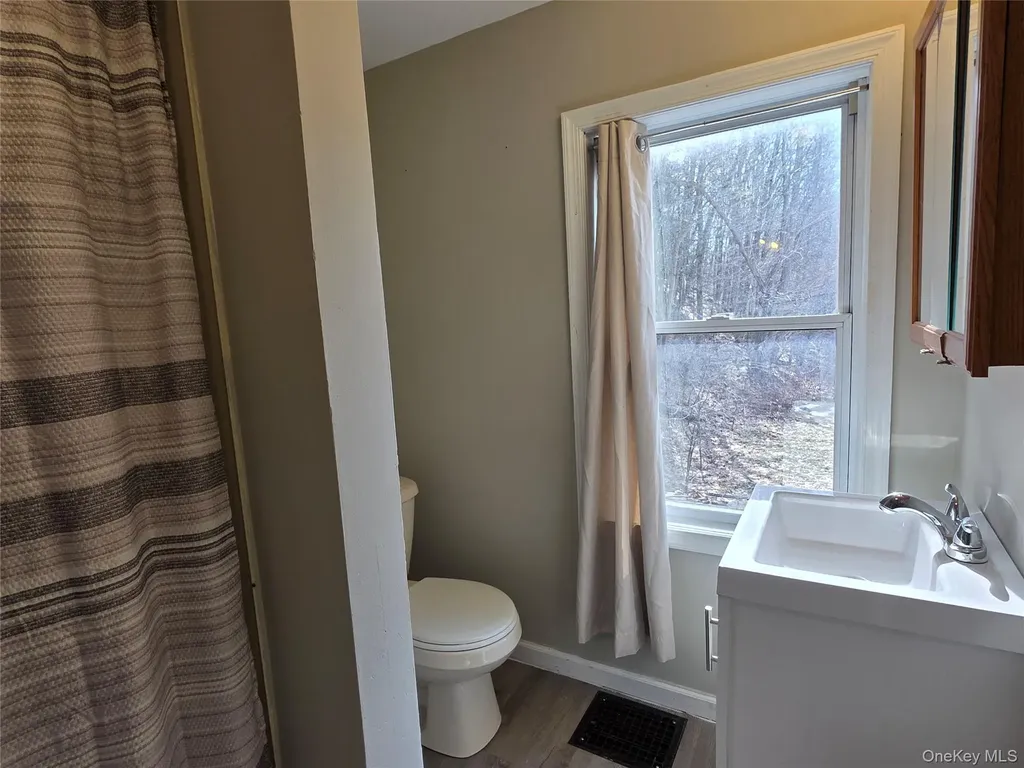 11708 Ny 97 Long Eddy NY 12760