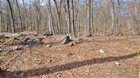 517A Old Chappaqua Road Briarcliff Manor NY 10510