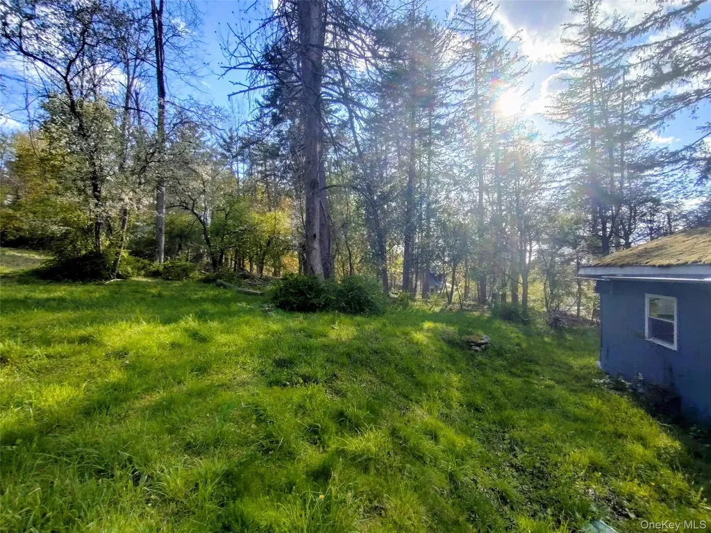 1131 County Route 31 Glen Spey NY 12737