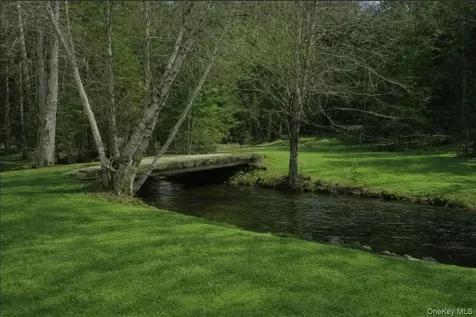698 Cooley Road Parksville NY 12768