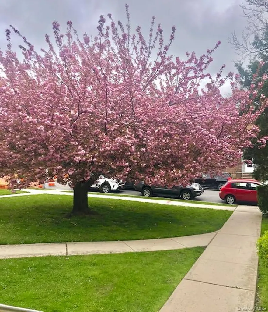 36-44 172 Street Flushing NY 11358