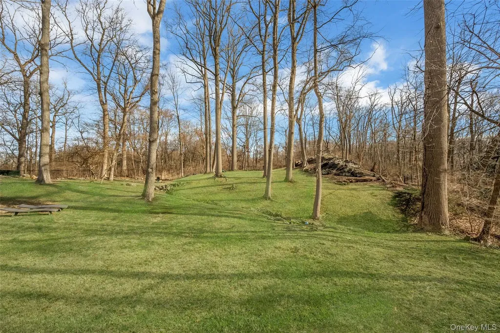 11 Meadowlark Road Rye Brook NY 10573