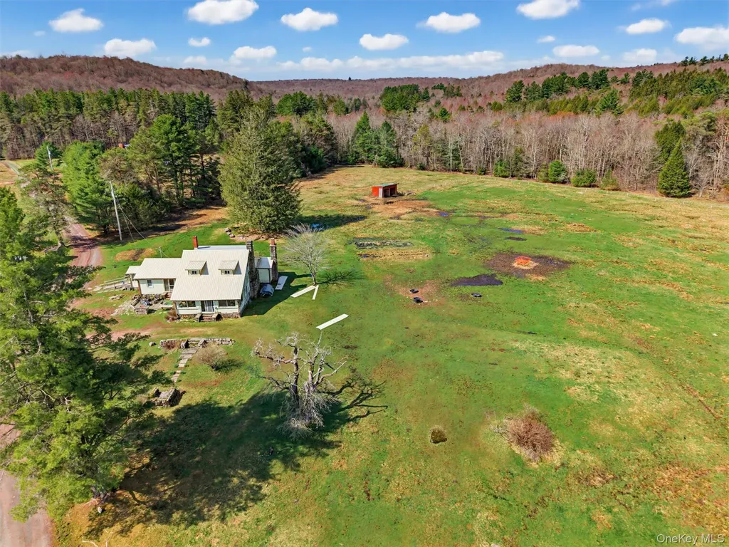 85 Lenape Lake Road Livingston Manor NY 12758