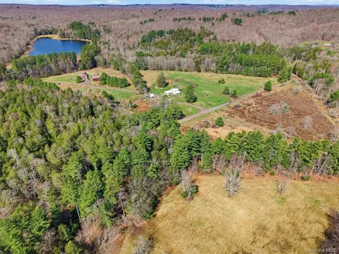 85 Lenape Lake Road Livingston Manor NY 12758