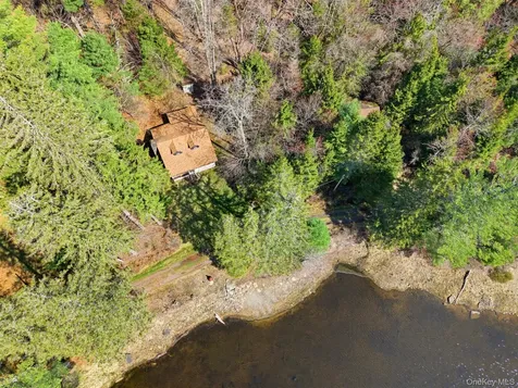 85 Lenape Lake Road Livingston Manor NY 12758