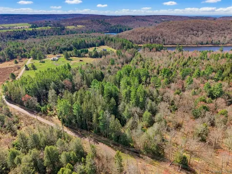 85 Lenape Lake Road Livingston Manor NY 12758