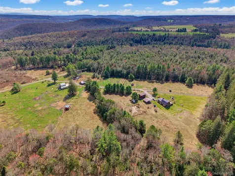 85 Lenape Lake Road Livingston Manor NY 12758