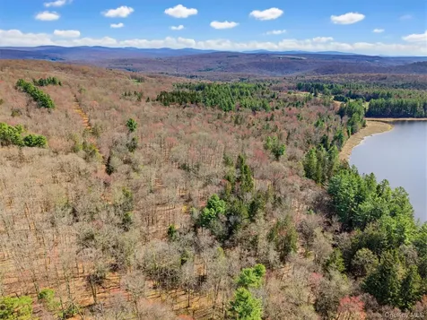 85 Lenape Lake Road Livingston Manor NY 12758