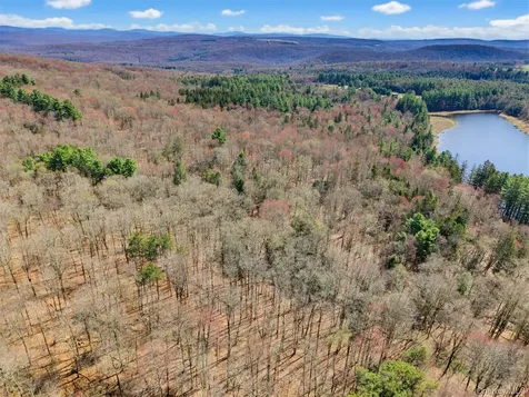 85 Lenape Lake Road Livingston Manor NY 12758