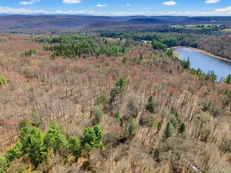 85 Lenape Lake Road Livingston Manor NY 12758