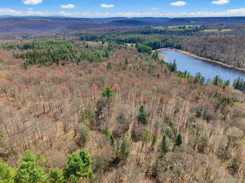 85 Lenape Lake Road Livingston Manor NY 12758