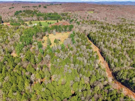 85 Lenape Lake Road Livingston Manor NY 12758