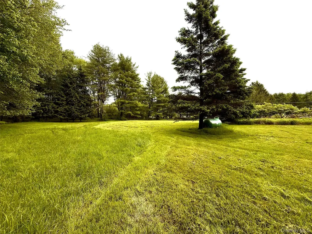 38 Moscoe Road White Lake NY 12786