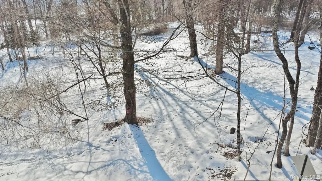 139 Mill Dam Road Stone Ridge NY 12484