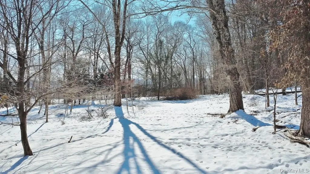139 Mill Dam Road Stone Ridge NY 12484