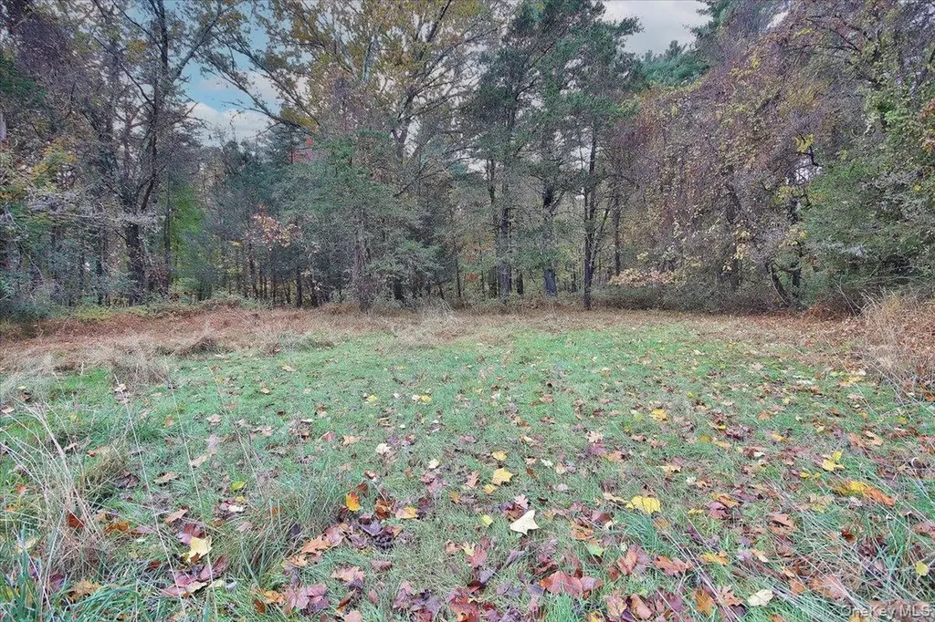 139 Mill Dam Road Stone Ridge NY 12484
