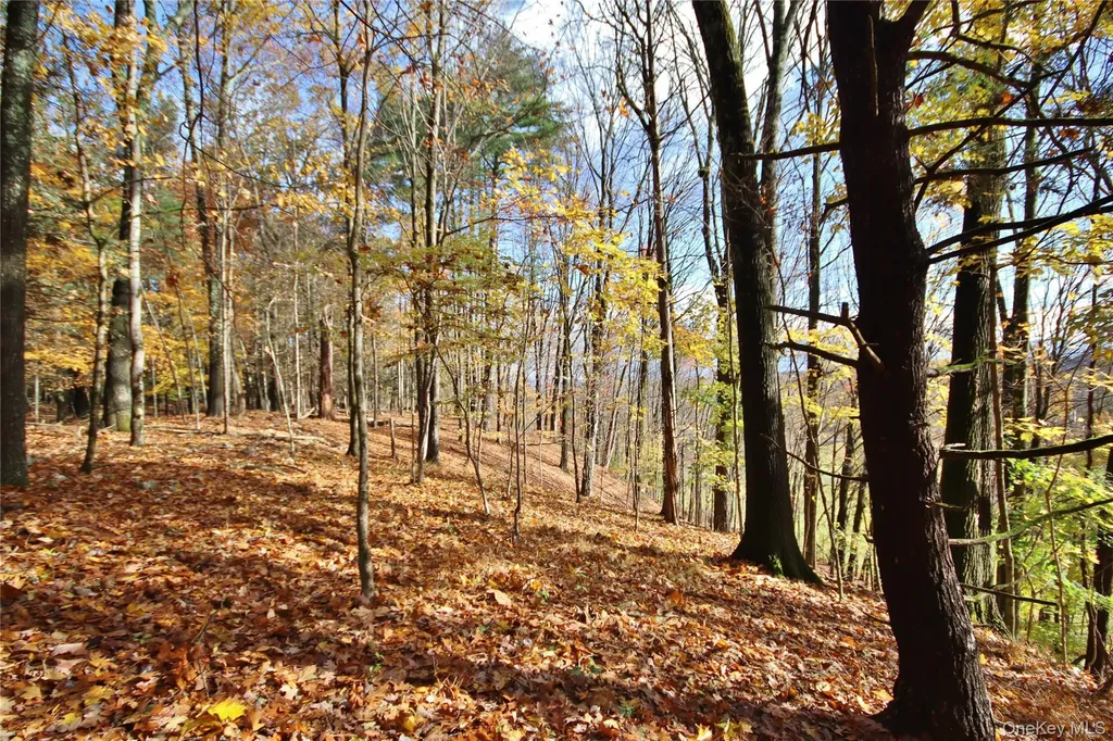 139 Mill Dam Road Stone Ridge NY 12484