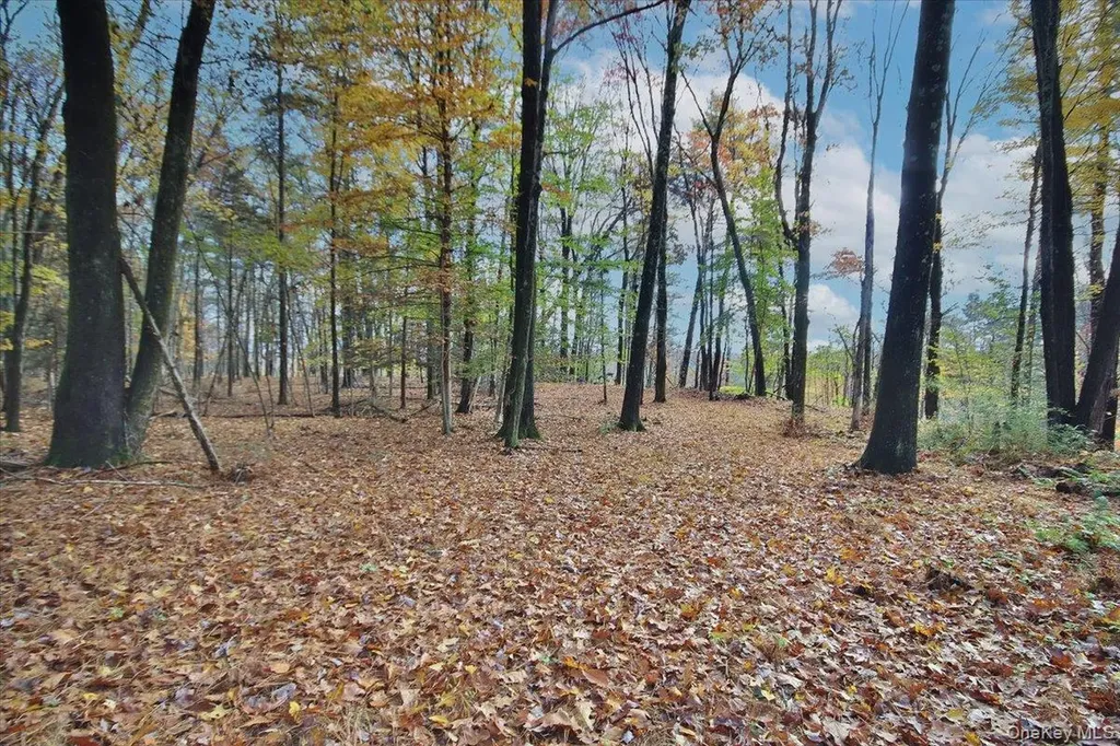 139 Mill Dam Road Stone Ridge NY 12484