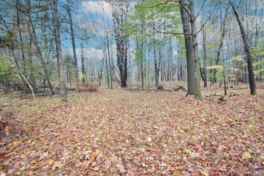 139 Mill Dam Road Stone Ridge NY 12484