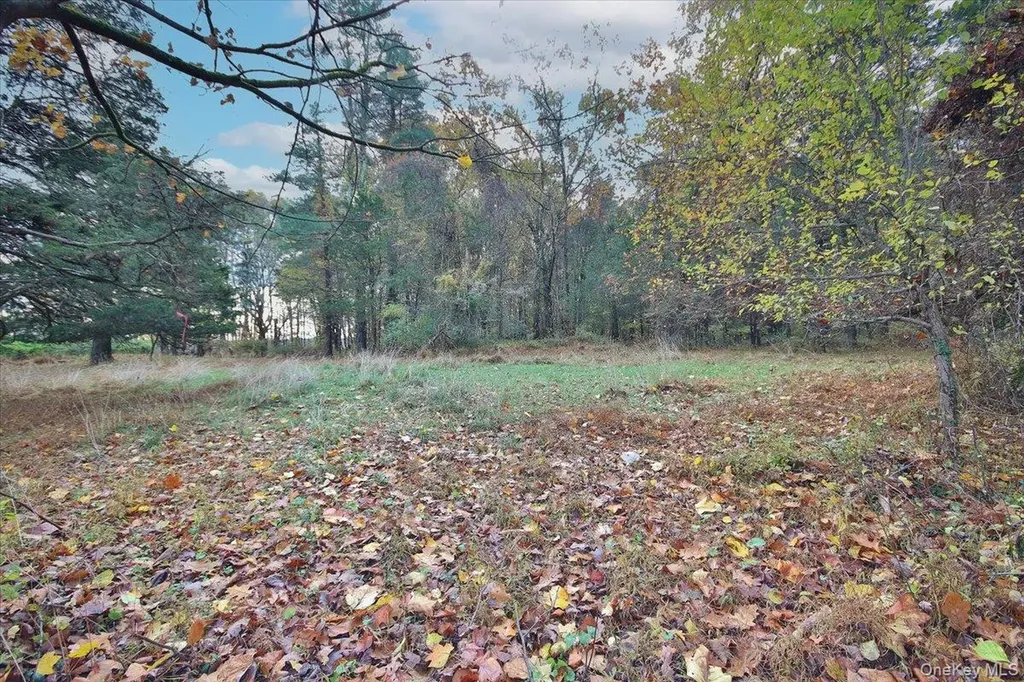 139 Mill Dam Road Stone Ridge NY 12484