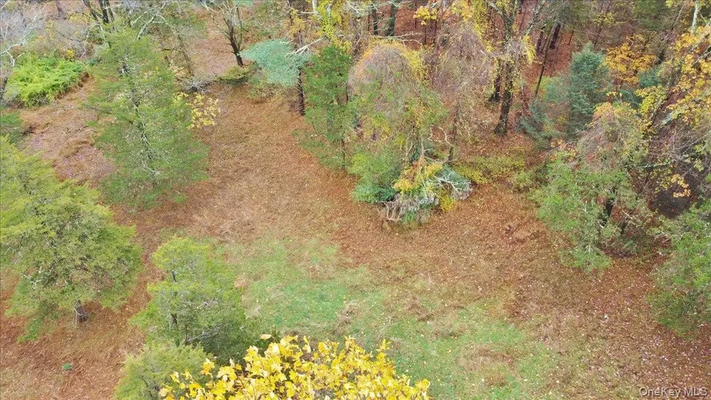 139 Mill Dam Road Stone Ridge NY 12484