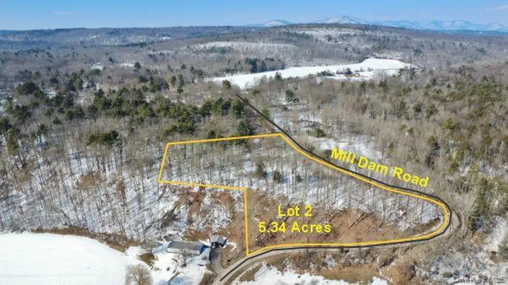 139 Mill Dam Road Stone Ridge NY 12484