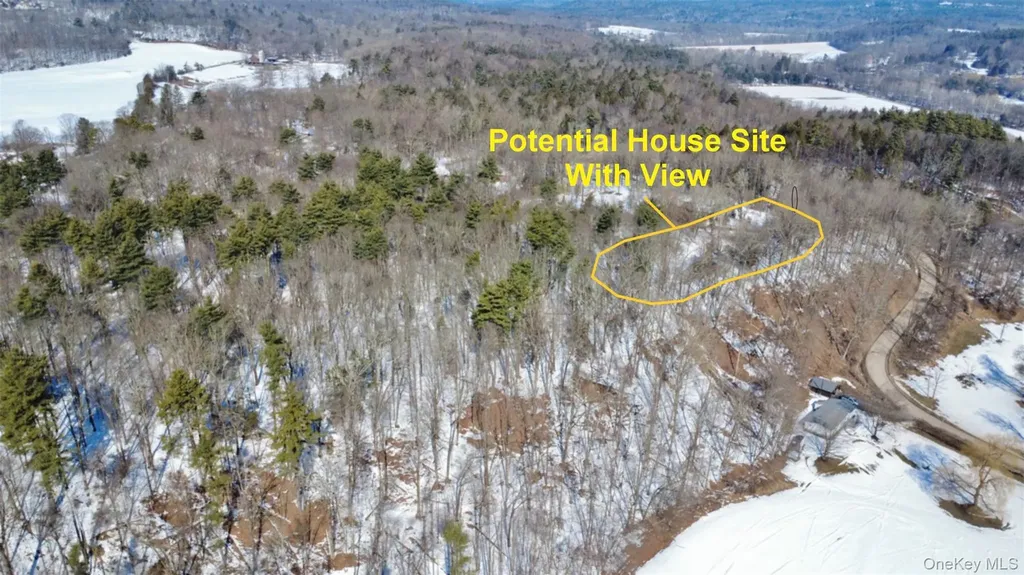 139 Mill Dam Road Stone Ridge NY 12484