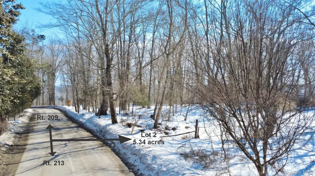 139 Mill Dam Road Stone Ridge NY 12484
