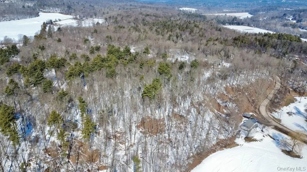 139 Mill Dam Road Stone Ridge NY 12484