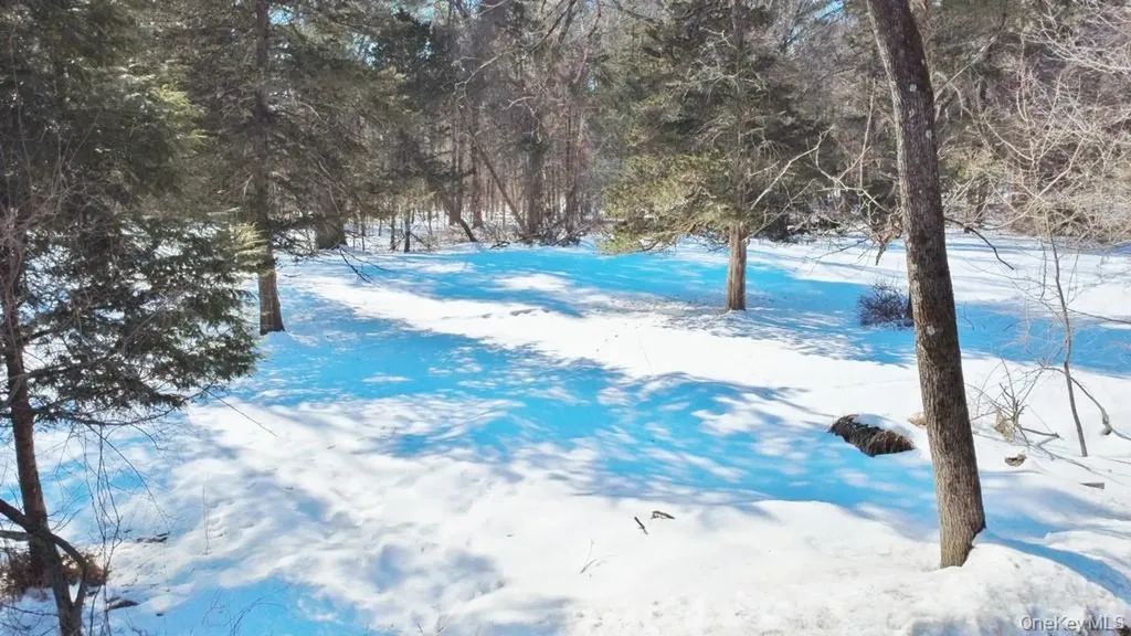 139 Mill Dam Road Stone Ridge NY 12484