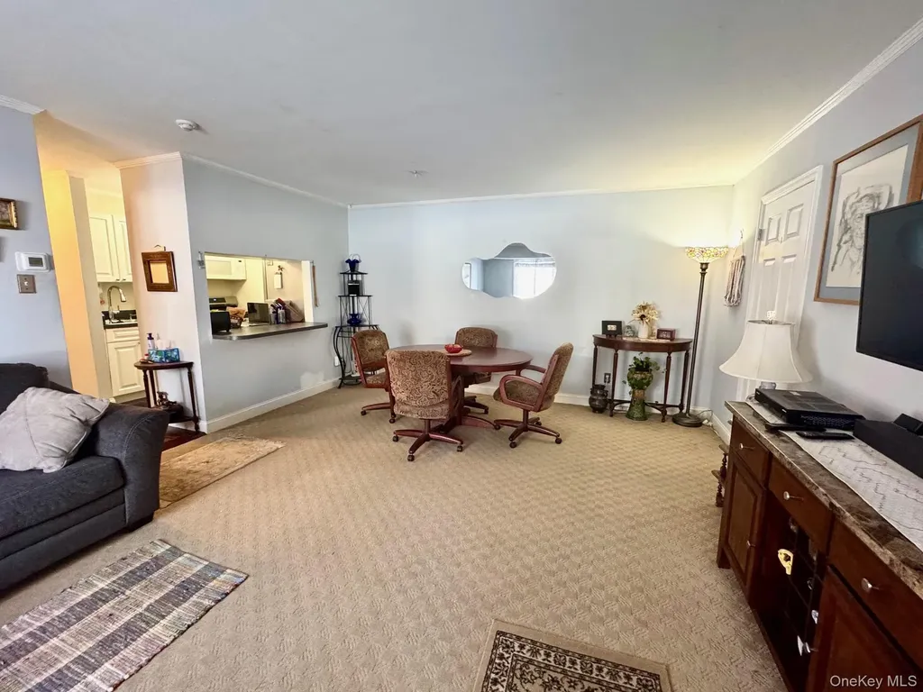 1 Aspen Court Coram NY 11727