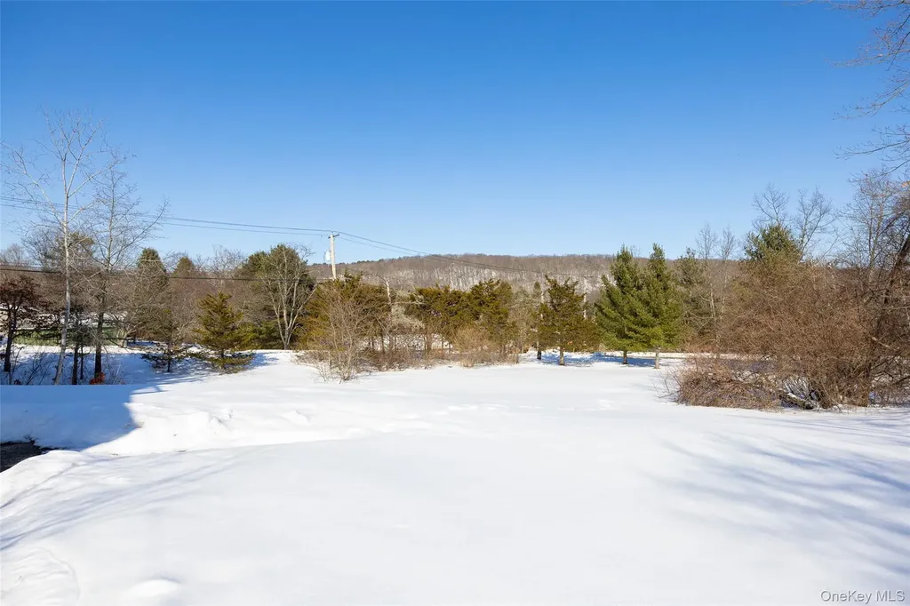73 Meusel Road Pine Plains NY 12567