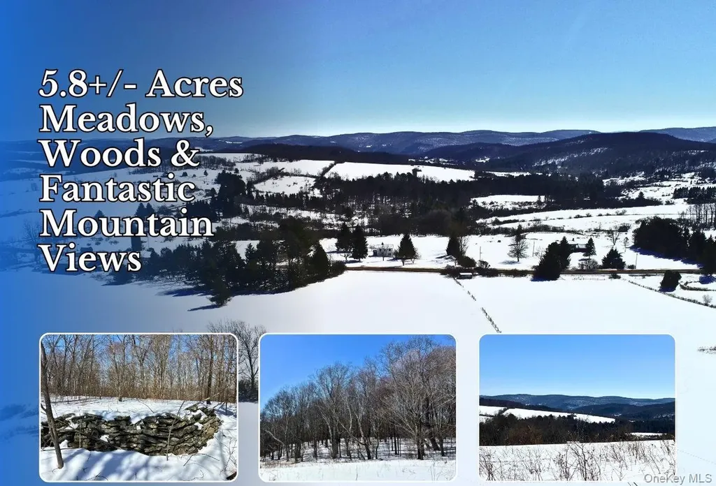 Lot 42 Hamden Hill Road Hamden NY 13782