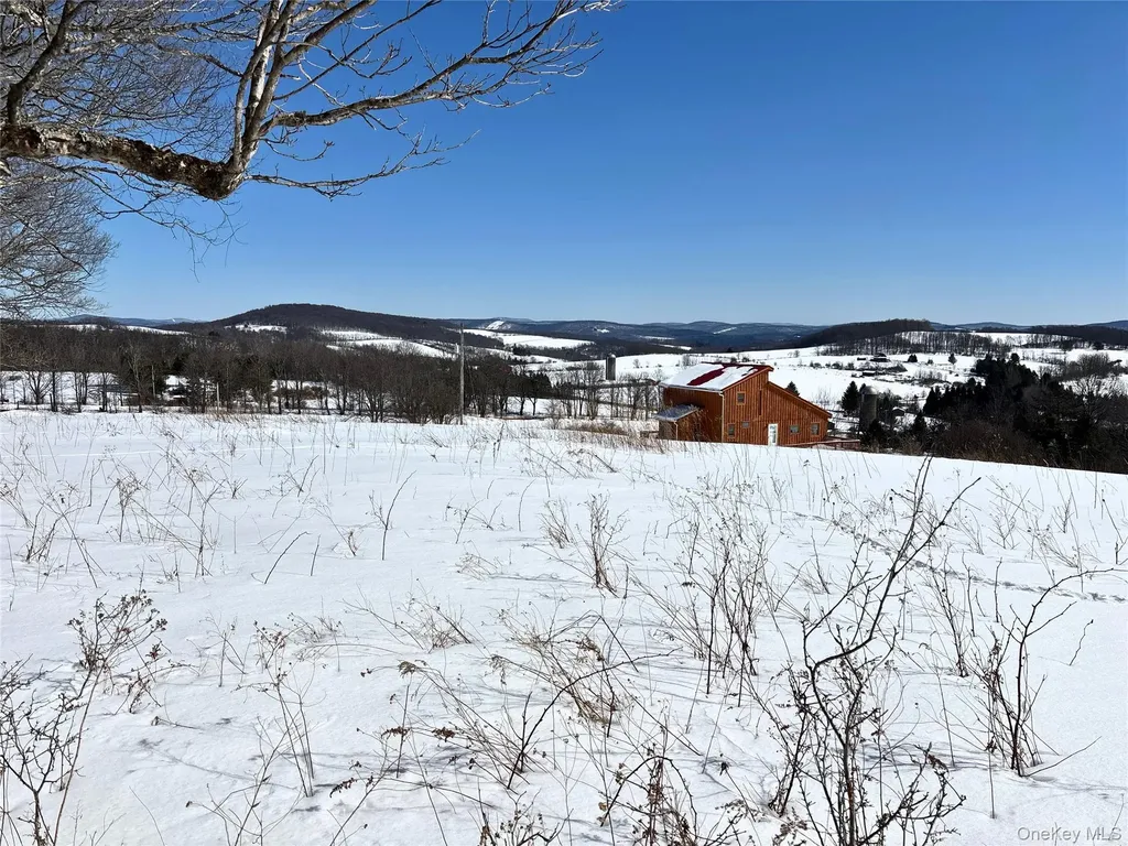 Lot 42 Hamden Hill Road Hamden NY 13782