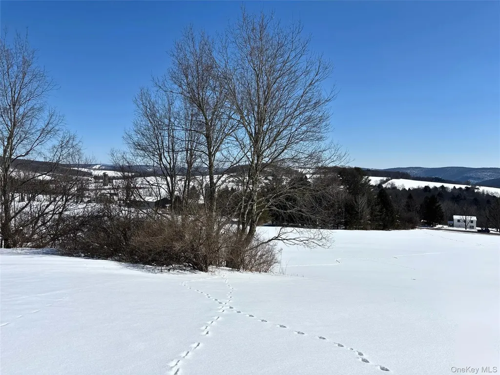 Lot 42 Hamden Hill Road Hamden NY 13782