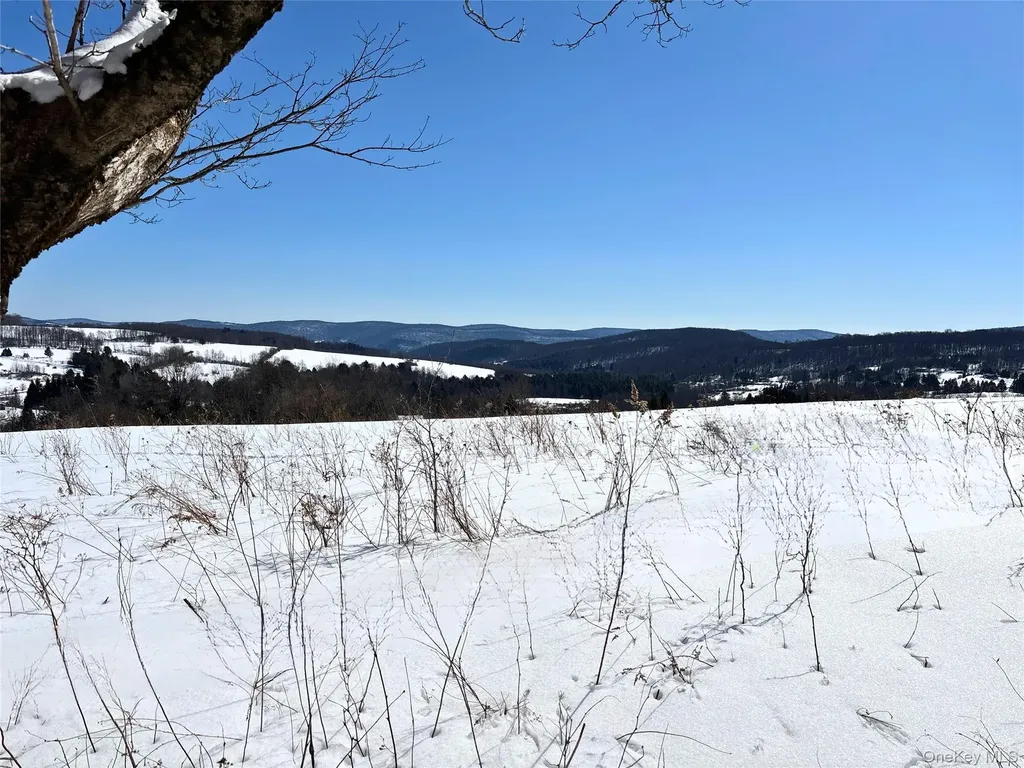 Lot 42 Hamden Hill Road Hamden NY 13782