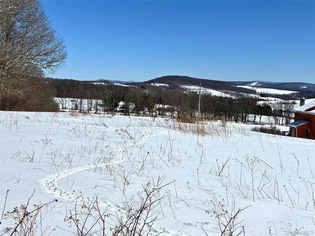 Lot 42 Hamden Hill Road Hamden NY 13782